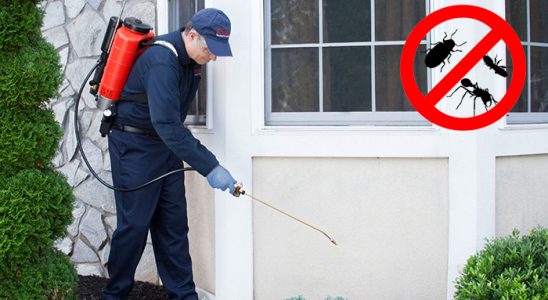 Gümüşpala Gümüşkurt İlaçlama böcek ilaçlama ve haşere kontrolü — ilaclama-tr.com